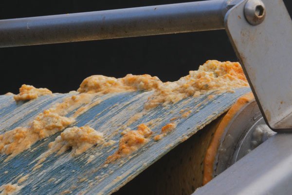 Industrial grease and fat being removed from waste water